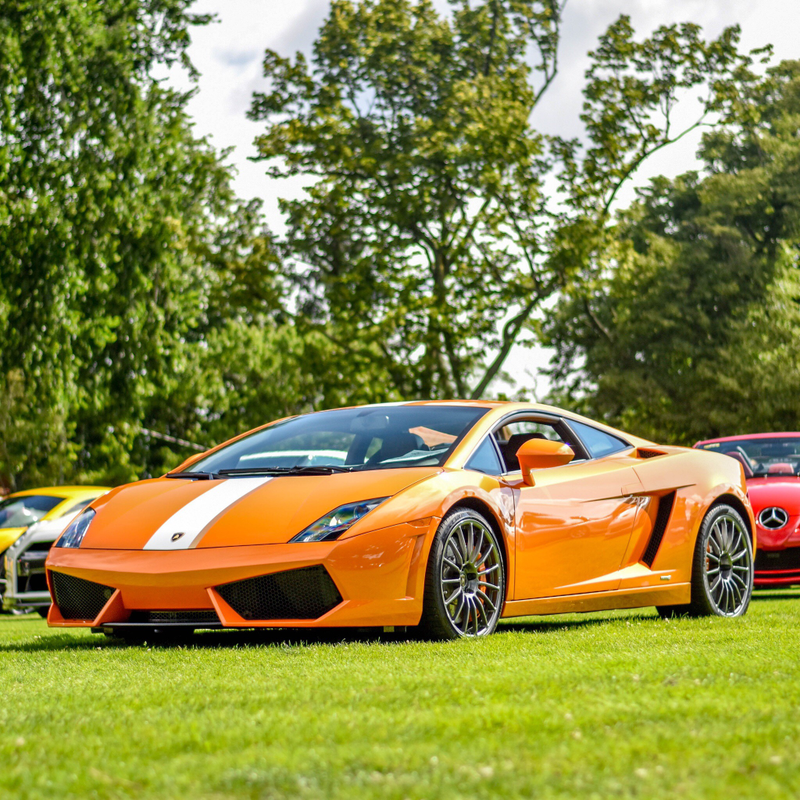 This Balboni was the highlight for me